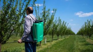 How to Protect Fruits and Vegetables Year-Round